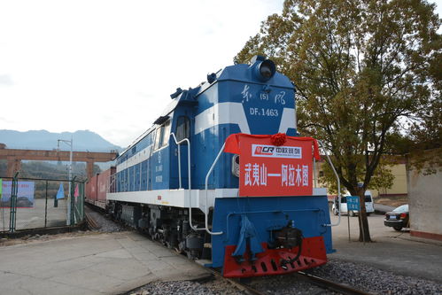 全球復蘇前景仍不確定，中國經濟穩定器作用凸顯——以道路貨物運輸為觀察視角