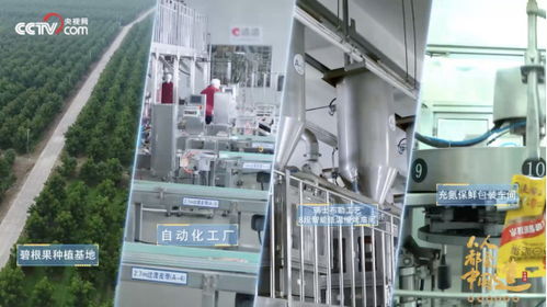 央視點贊洽洽透明工廠，數字技術賦能堅果冠軍的硬核實力