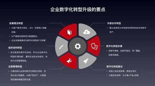 擁抱數字化轉型 數企為中小企業量身打造SaaS解決方案